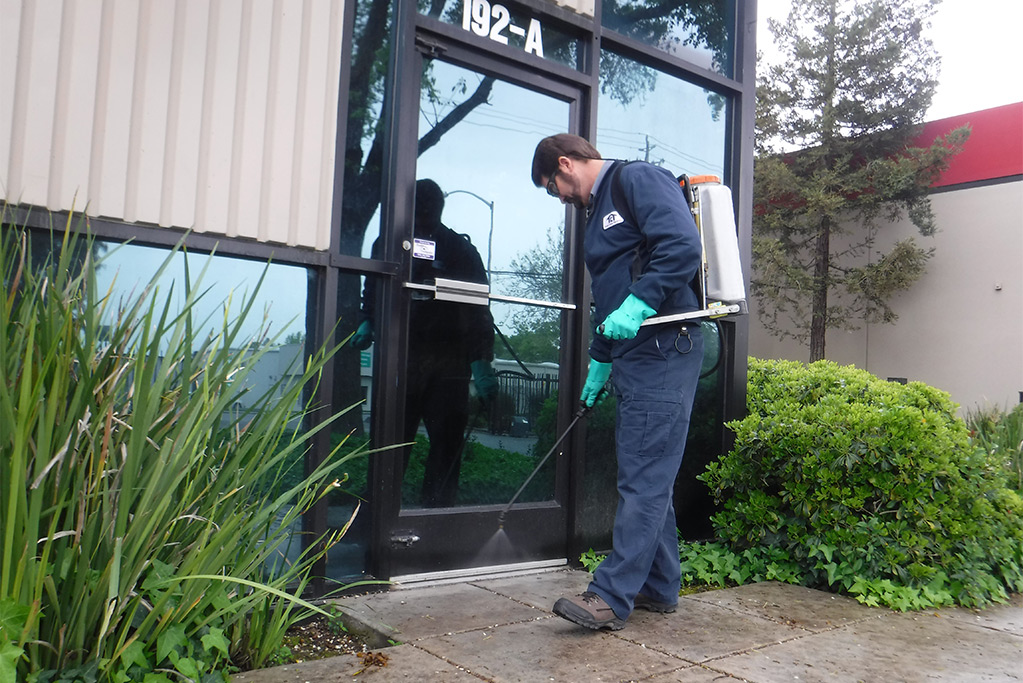 New river weed control