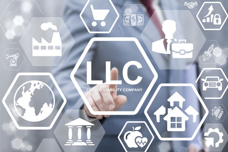 Limited Liability Company