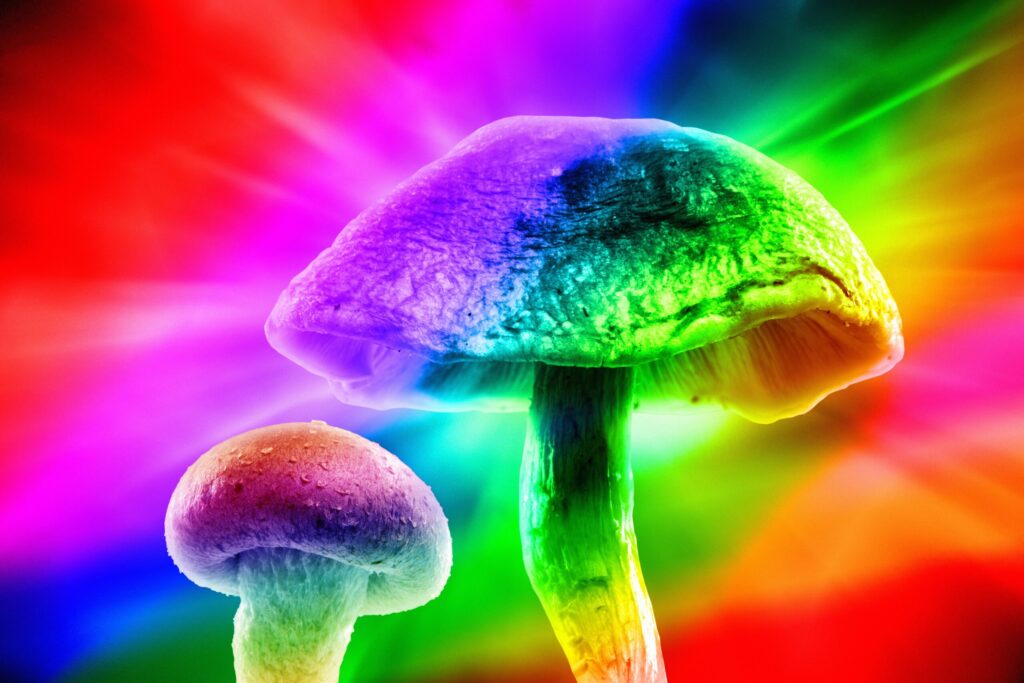 Magic Mushroom